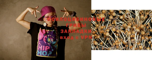 кокс Алексеевка