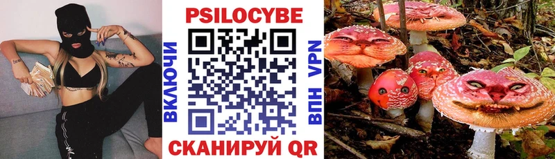 как найти   Гаврилов Посад  Галлюциногенные грибы Psilocybine cubensis 
